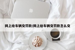 网上给车辆交罚款/网上给车辆交罚款怎么交