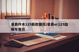 豪爵柃木125新款图片/豪爵vr125踏板车报价