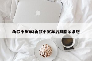 新款小货车/新款小货车后双胎柴油版