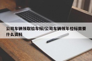 公司车辆领取验车标/公司车辆领年检标需要什么资料
