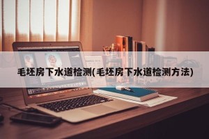 毛坯房下水道检测(毛坯房下水道检测方法)